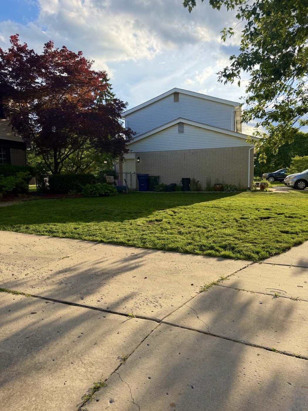 Yard after a Cove Outdoor Services lawn visit