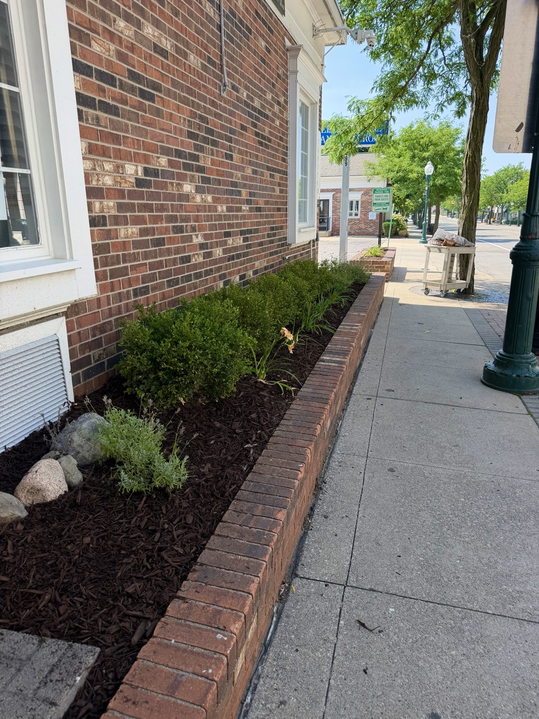 Flower bed after Cove Outdoor Services trim and mulch