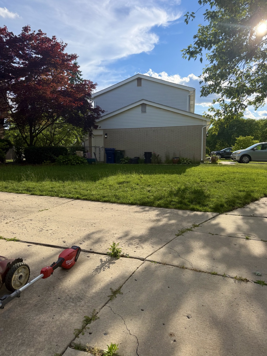 Yard before a Cove Outdoor Services lawn visit