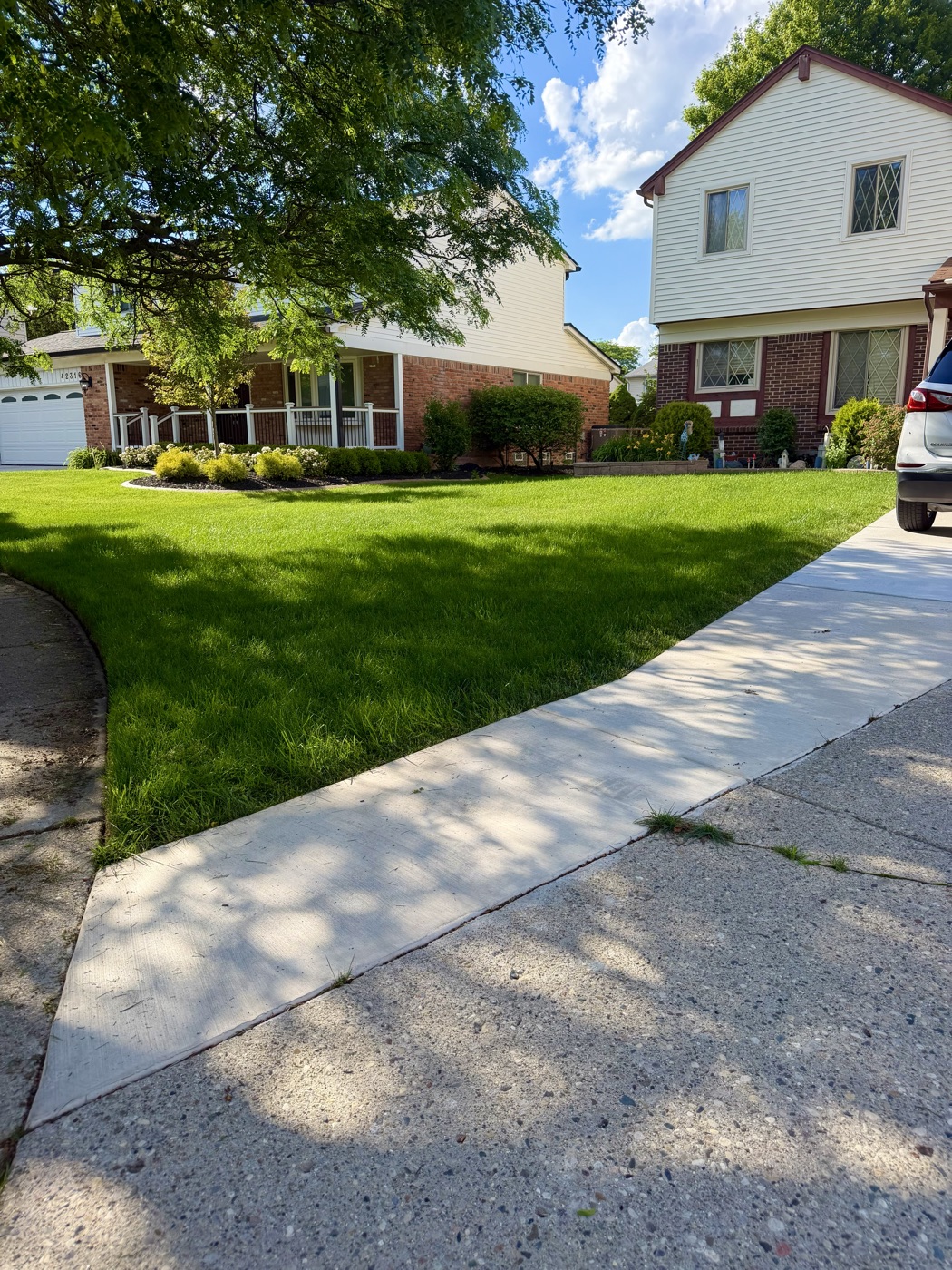 Front yard before Cove Outdoor Services lawn care