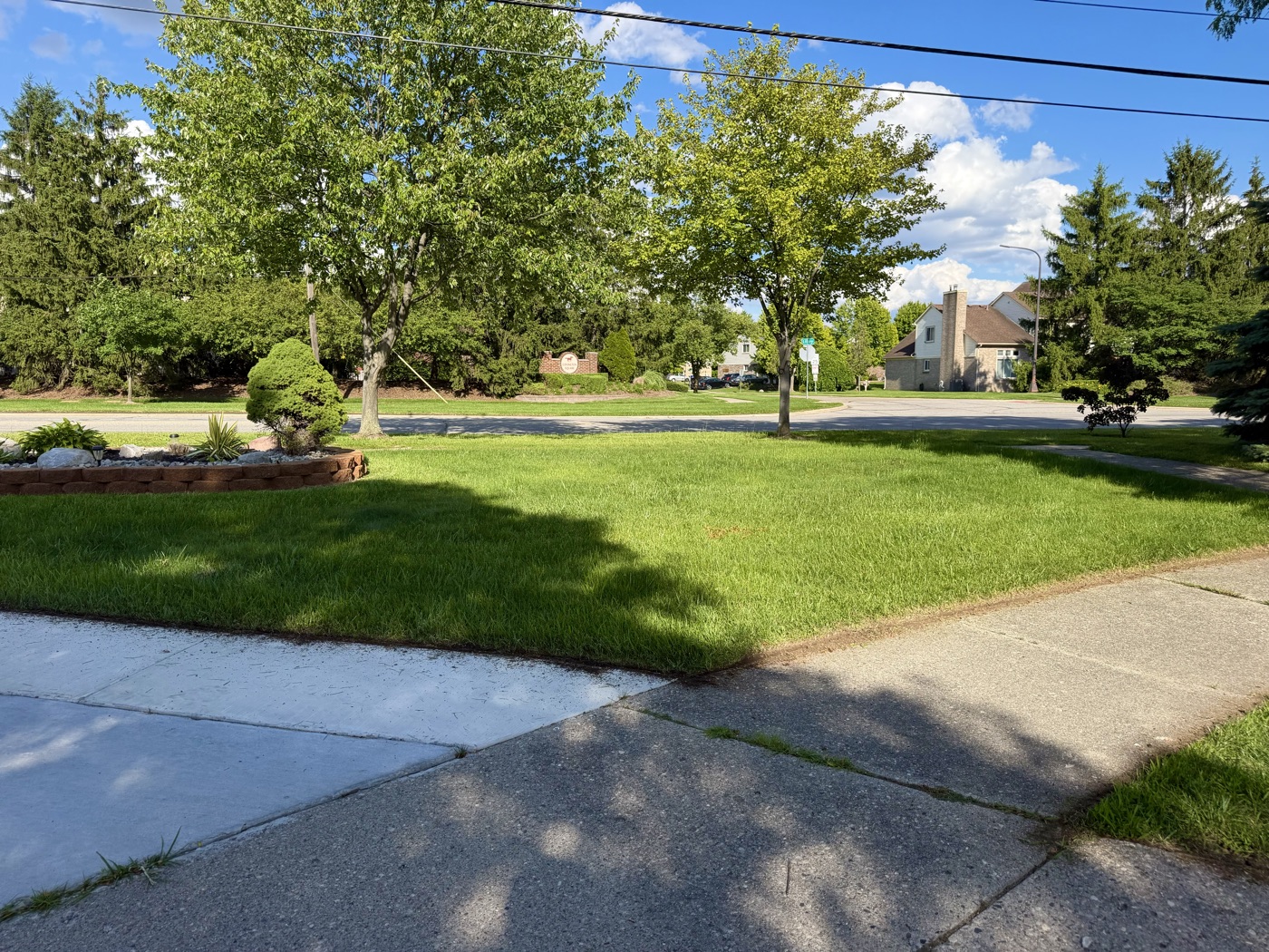 Landscape bed before Cove Outdoor Services cleanup