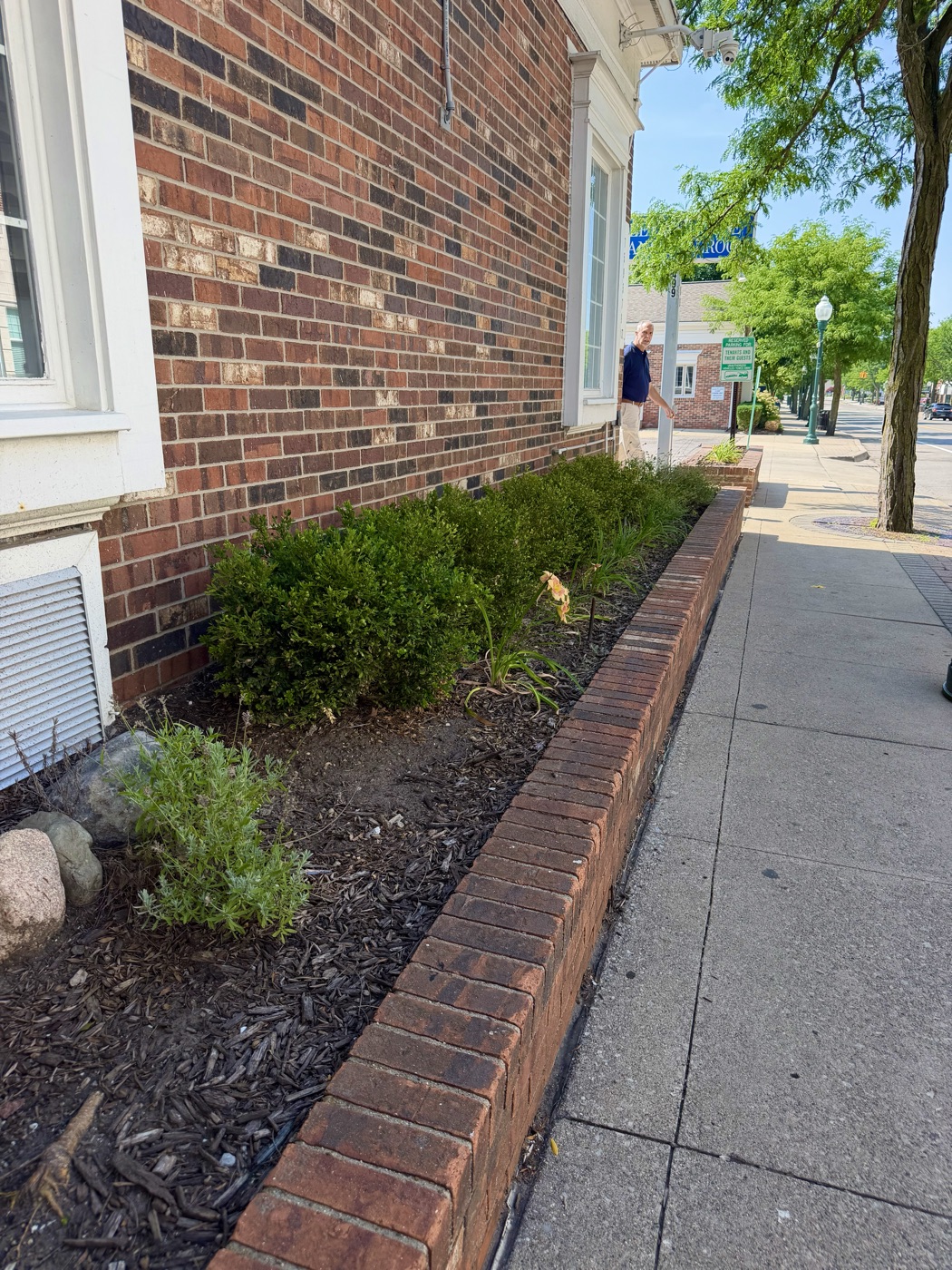 Flower bed before Cove Outdoor Services trim and mulch